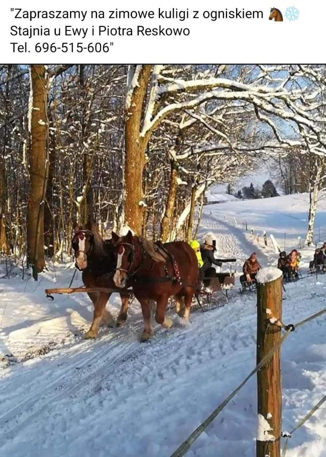 Appartamento Nocleg Na Poziomkowej Koscierzyna Esterno foto